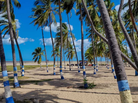 chicas para chatear Riohacha