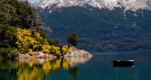 chicas para chatear Neuquén