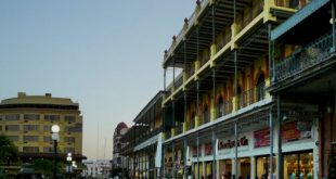 buscar pareja Tampico